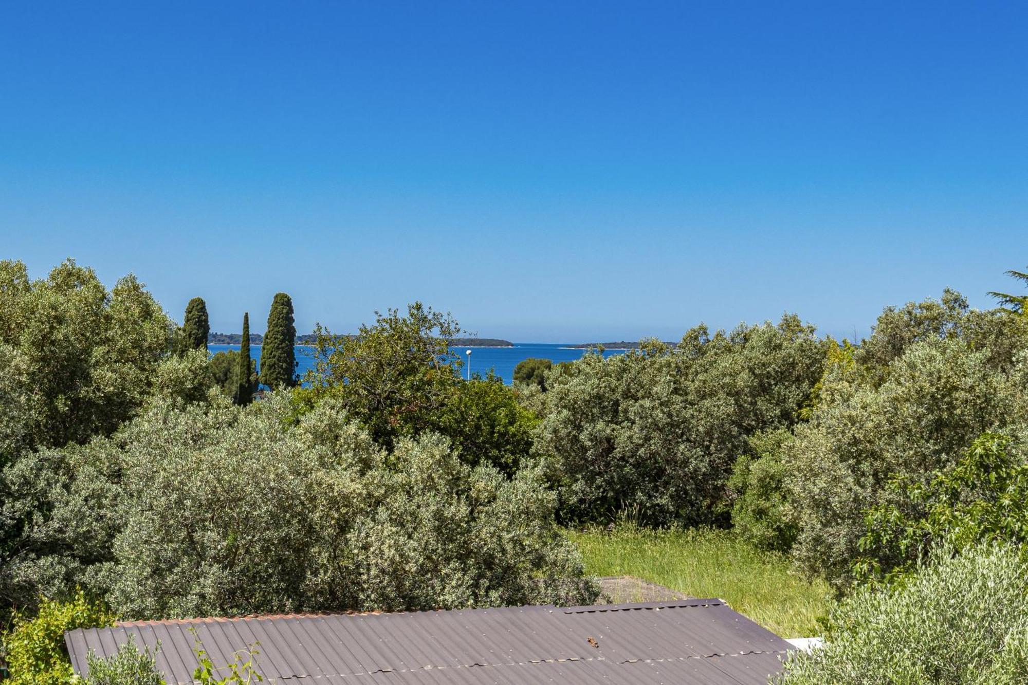 Apartment Nenad - Amazing Sea View ! Only 500 Meters From The Beach ! Fazana Bagian luar foto
